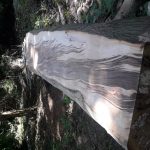 20180621 123112 150x150