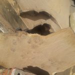 20181026 125215 150x150