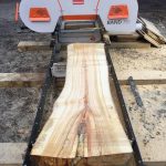 60343008 342325753117821 1626920391815462912 n 1 150x150