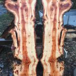 60451833 616033968877259 2366652255702089728 n 1 150x150