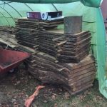 60469285 597588084082500 2668344498173509632 n 1 150x150