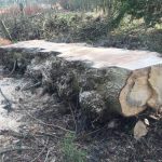 60480271 1121134794760226 9098286040686264320 n 1 150x150