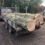 60490789 304314143784933 5171187710110466048 n 150x150