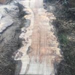 60872179 844397499255783 5218616849276600320 n 150x150