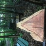 5B69EDB4 3E29 4D74 9D18 D5CE3A1A76FF 150x150