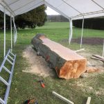 7C6086A2 A9A4 4CA7 BD2A BE9D408BCB02 150x150