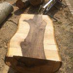 7DC7F250 47B5 4C4C AC4F 37C94A830BB8 150x150