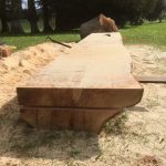 7F4186DC D1F8 4293 BD41 135939E132C8 150x150