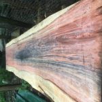 81AB3927 29E7 4DB6 953A 611129979EFA 150x150