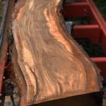 837A1902 5A9F 4844 B111 8979E7EF9980 150x150