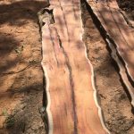 A8B6CE0E 7A0D 4F23 A616 D8E9E1E4B8D2 150x150