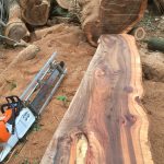 C08F0321 45E5 4760 AD46 39F73F637264 150x150