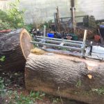 C41577B3 9767 441C B1C6 C9F082C8A8E5 150x150