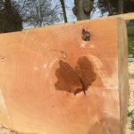 C4710587 44BD 4FEC 9D44 777027ADA91C 150x150