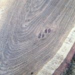 CDDDFDB0 FEC0 4C71 AA71 29B88DDDFE66 150x150