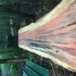 D7C0D946 E669 4C09 B632 F6BBAD13C45F 150x150