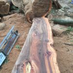 F3DBD435 DB96 4139 A4C6 4A325142A531 150x150