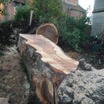 F48AB3D5 26C0 4720 BA87 0F11A7C9978C 150x150