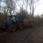 IMG 20150303 173834 150x150