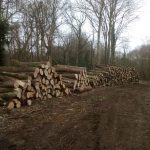 IMG 20150305 105151 150x150