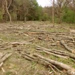 IMG 20160425 104018 150x150