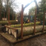 IMG 20171129 125126186 150x150