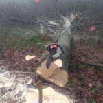 IMG 20180111 112901618 150x150