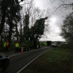 IMG 20190318 122510 150x150