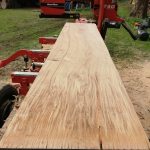 IMG 20190412 143318 150x150