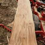 IMG 20190412 144910 150x150