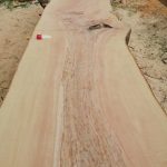 IMG 20190426 132648 150x150