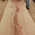 IMG 20190426 141751 150x150