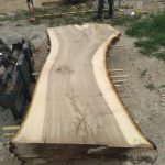 Price Walnut 150x150