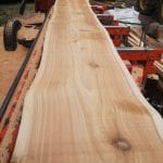 IMG 20190806 140656 150x150