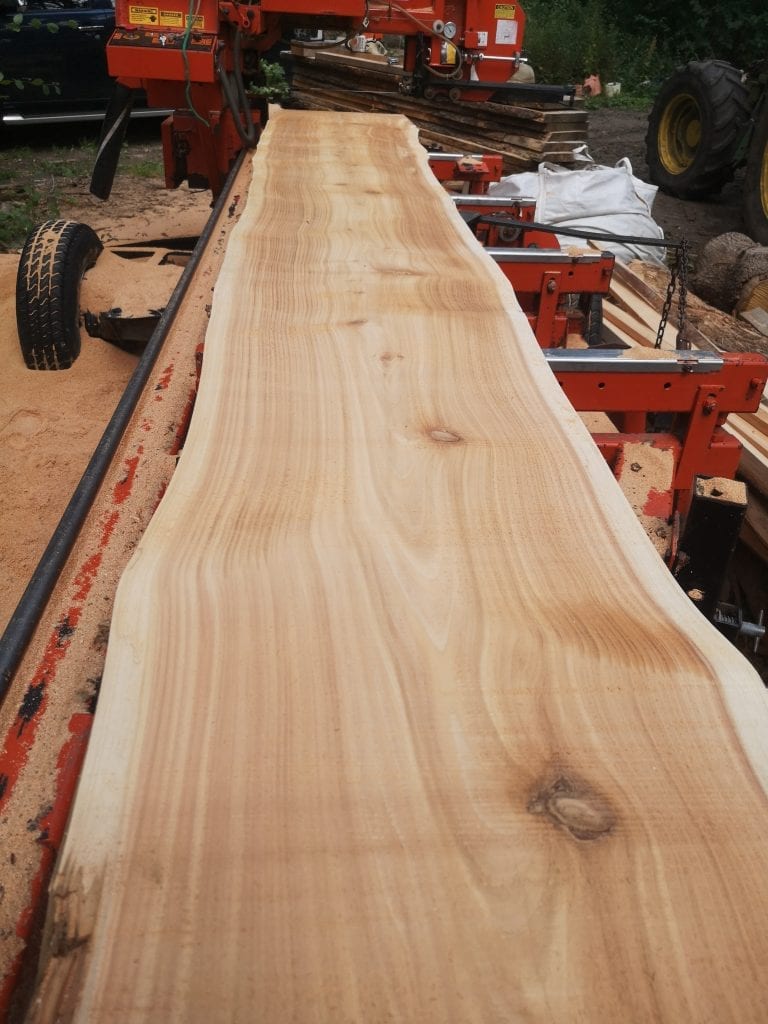 IMG 20190806 140656 768x1024