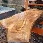 20190126 144041 150x150