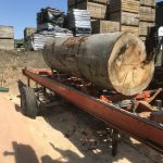 B9F3A3D8 E01C 49AA 8662 5D0F48A9BFEE 150x150