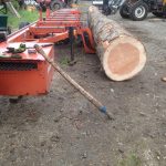 FE2AFDE7 7328 4ED0 AD92 945694B6F41D 150x150