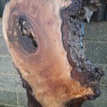 20190215 110948 150x150