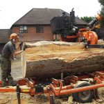 Sawing Lebanon Cedar on the mobile sawmill