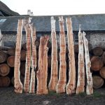 IMG 20181115 101505 150x150