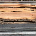 Photo 16 06 2021 11 30 27 1 150x150