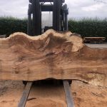 Photo 21 06 2021 12 15 45 150x150