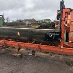 Photo 29 01 2021 14 42 27 1 150x150