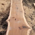 IMG 20201207 101843382 150x150