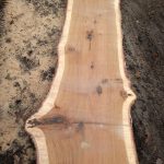 IMG 20201207 101849074 150x150