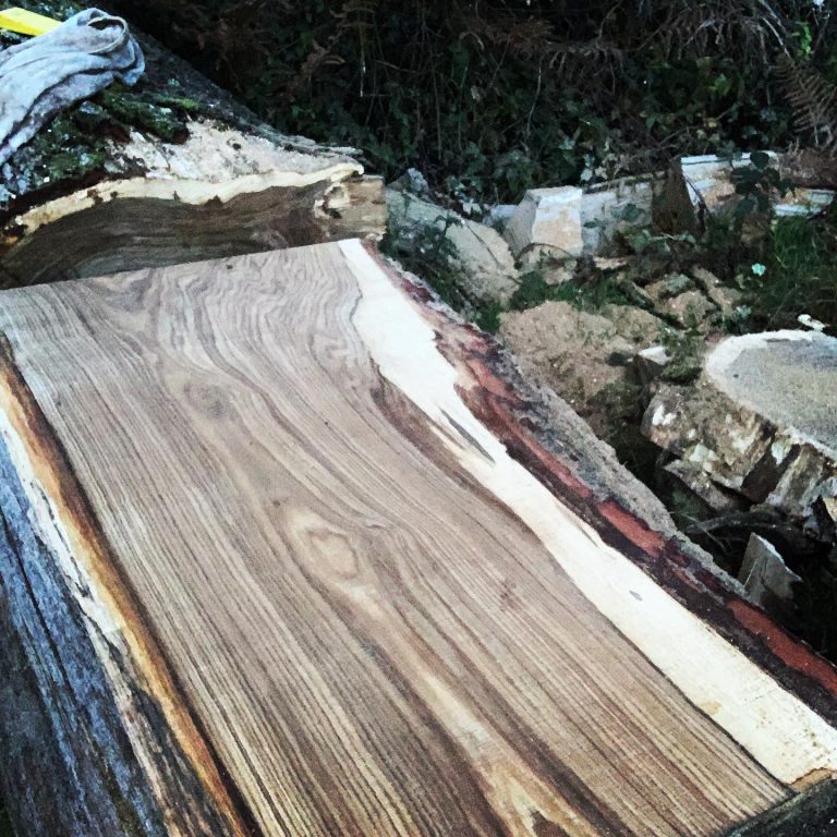 168864853 104436715089882 3664950689367966134 n 1 768x768