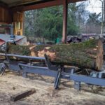 PXL 20240125 100800513 150x150